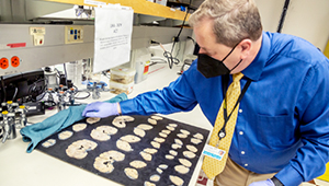 Dr Keene at Brain science lab - Allen Institute 