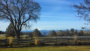 Rural landscape, looking out towards horizon, Fence, tree, and mountain in background